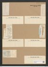 Gomphonema subtile Ehr. (de-Toni-Nr.: Genus 37, Species 1730) Zeichnungen Sammlung Grunow Nr. 3374 (NHMW-BOT-W0370893)